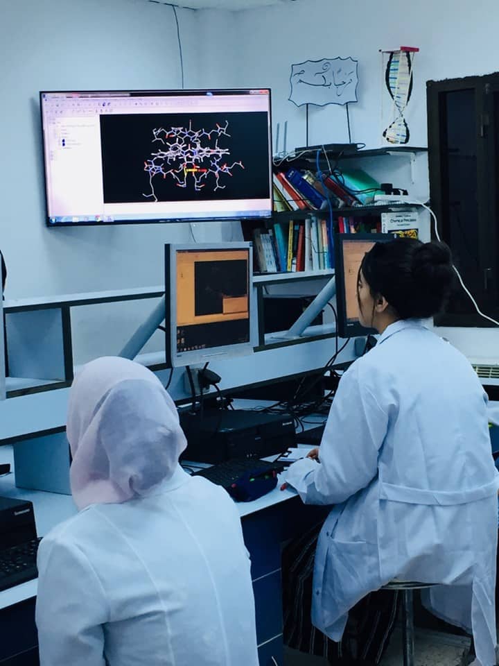 Second year Pharmacy Students and Computer-Aided Drug Design